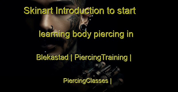 Skinart Introduction to start learning body piercing in Blekastad | PiercingTraining | PiercingClasses | SkinartTraining-Norway